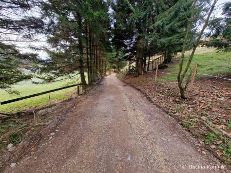 Sanacija gozdnih cest (5)